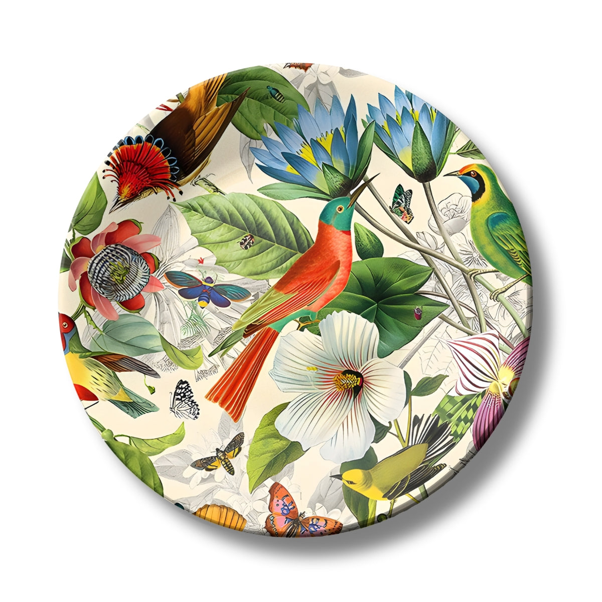 Hummingbird Colourful Ceramic Wall Plate Home Décor