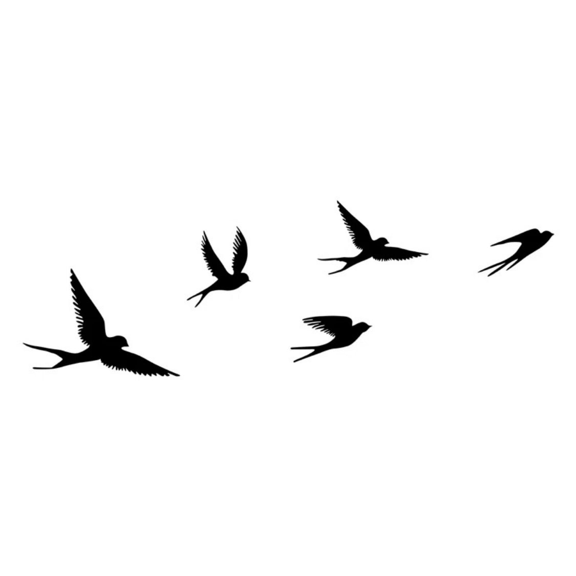 Set of 5 Freedom Flock Birds 3D Acrylic Wall Art