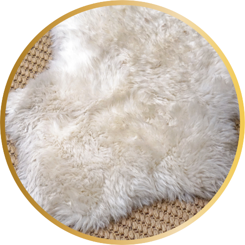 Rugs & Carpets