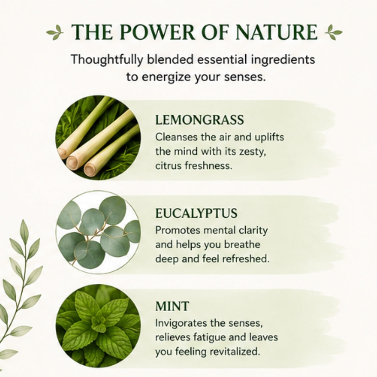 Energy Ritual Scented Candle for Home Fragrance | Lemongrass, Eucalyptus & Mint Soy Wax Candle