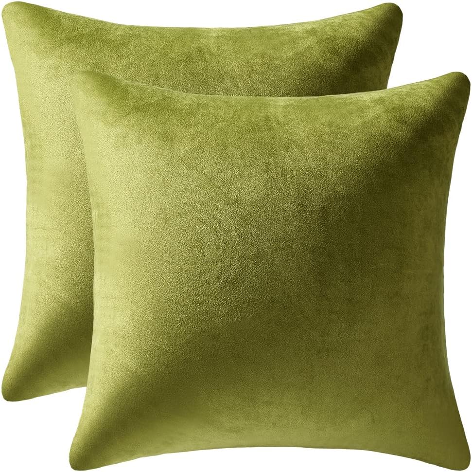 Soft Velvet Square Throw Pillow Cases or Cushion Covers Sage Green