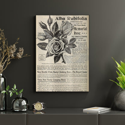 Vintage Botanical Elegance Canvas Painting Framed Wall Art