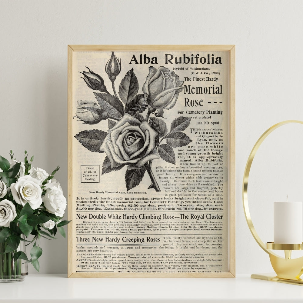 Vintage Botanical Elegance Canvas Painting Framed Wall Art